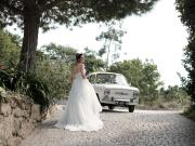 Wedding Dreams & Cars - Wedding Dreams & Cars
