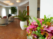 Lobby - Miramar Hotel Spa & Apartments****