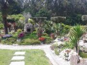 Jardim - QUINTA DO RIBEIRO