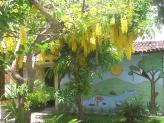Jardim interno da Pousada - Pousada Paraguassu