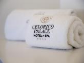Celorico Palace Hotel & Spa