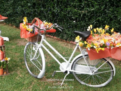 pormenor decoração jardim