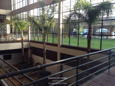 Vista jardim interior