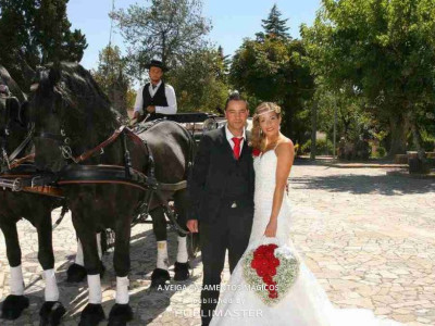 A.Veiga Casamentos Mágicos - Charrete 