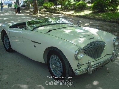 Austin Healey 100/4 de 1955 - na Quinta dos Curvos