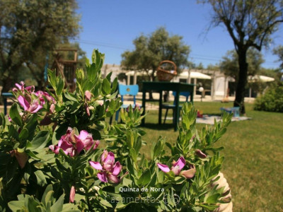 Vista florida na Quinta da Nora
