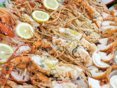 Apresentação Buffet