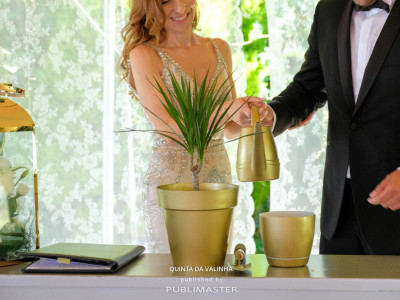 Cerimónia da árvore