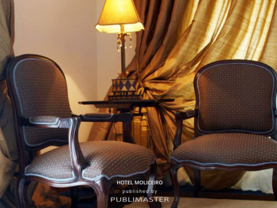 Hotel Moliceiro