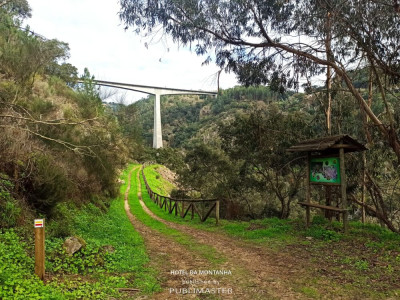 Trilho Penedo da Granada